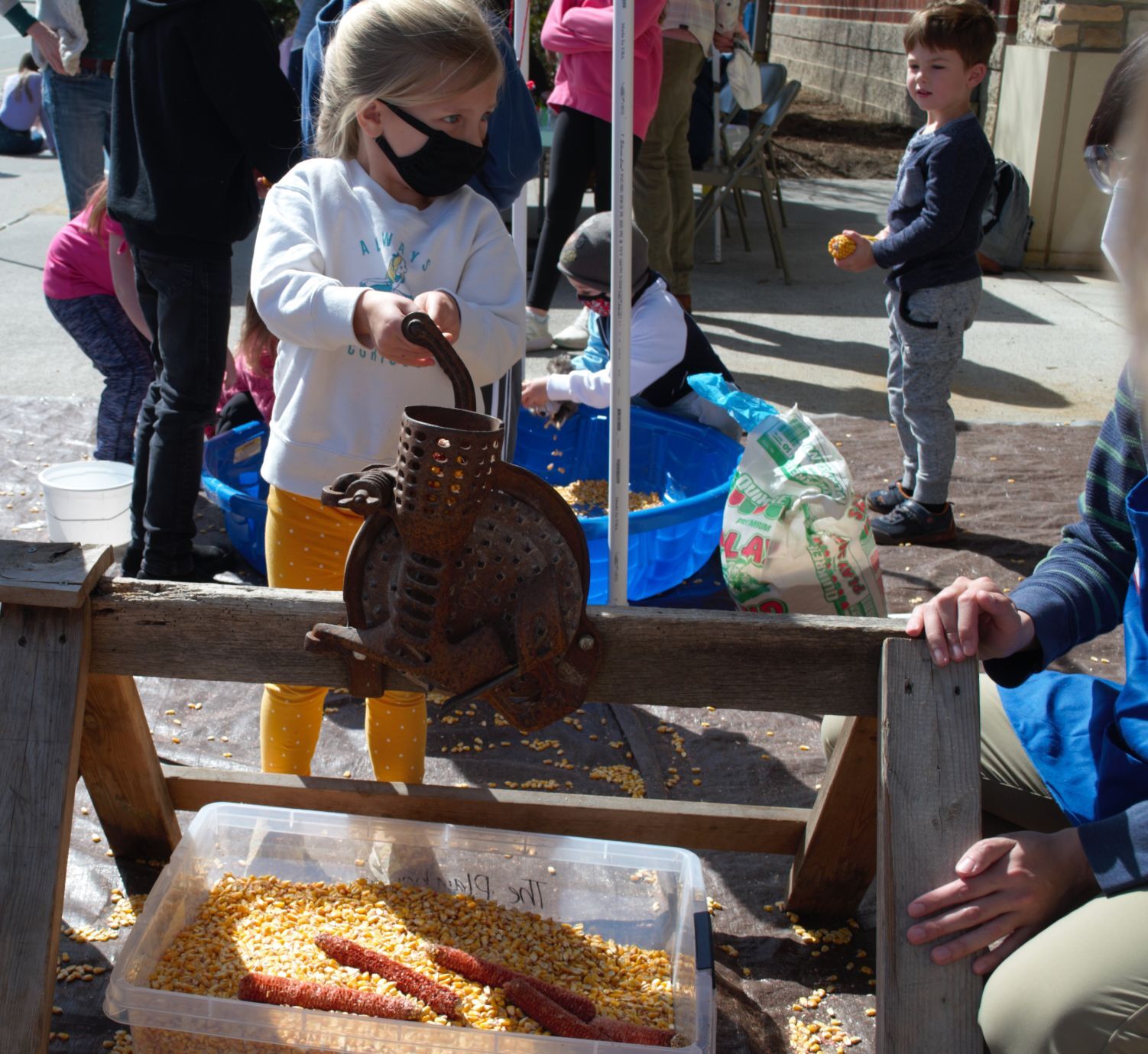 husking corn.2.jpg